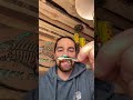 Video Thumbnail for Perch Pattern Jigging Walleye Ice Hook INSANE