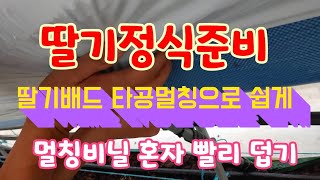 김제딸기코빨강코 스마트팜 쉽게 빨리 탄탄하게 딸기배드 비닐 멀칭덥자!!