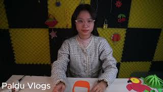 Hướng dẫn làm giỏ hoa màu cam trang trí tường nhà siêu đẹp | Paldu Vlogs