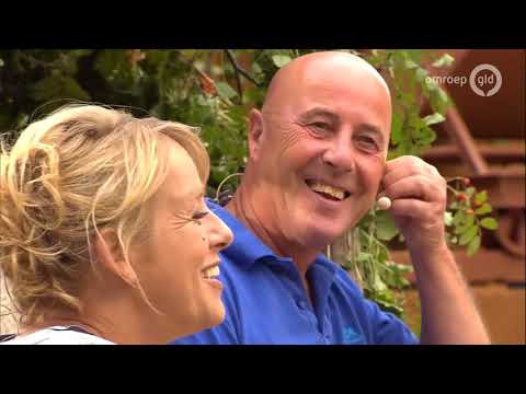 Zomer in Gelderland 20 augustus 2018 - Noordijk