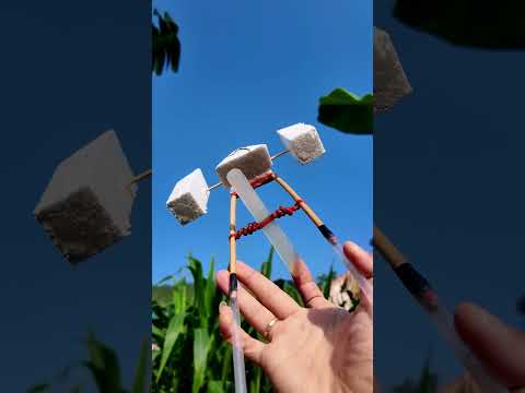 Unique and Extremely Fast Bo Bo Boat