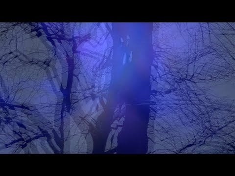 After Dark  - Brigitte Handley