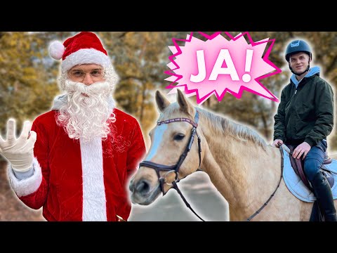 TOM MUSS EINEN TAG JA SAGEN - Weihnachtsedition