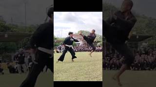 Download lagu sambung brutal siswa PSHT #sambung #psht #jatahanpsht #pencaksilat #beladiri mp3