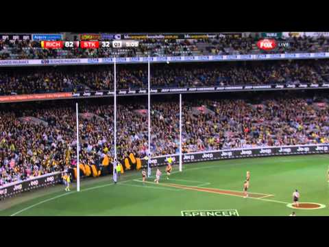 Round 22 AFL Richmond vs St Kilda Highlights