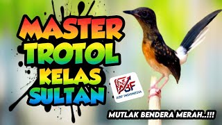 Download lagu Paling cepat masuk ! MASTERAN MURAI BATU TROTOL FULL TEMBAKAN MEWAH‼️ mp3