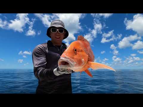 Epic Fishing on the GBR - Red Emperor, Coral Trout & Spanish Mackerel