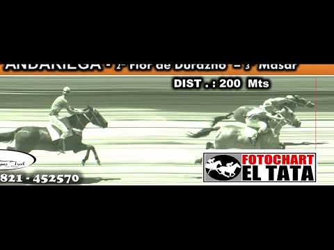 ANDARIEGA 18 12 2021 TAMA VIDEO DE CHEPES TURF