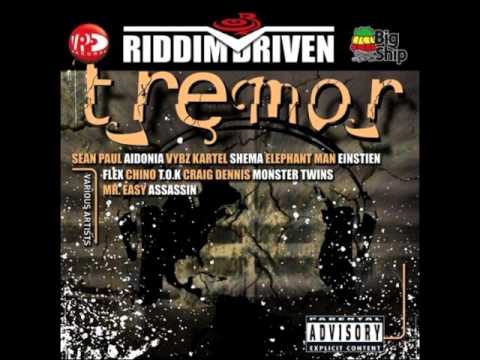 DaCapo presents "TREMOR" RIDDIM MIX (Di Genius Rec.)