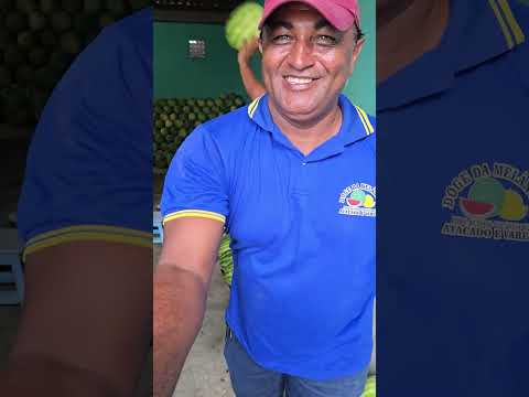 mercado público de Arapiraca Alagoas