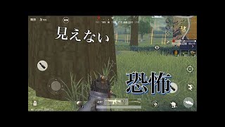 私の実力をお見せしましょう…ﾄﾞﾄﾞﾄﾞ-荒野行動-#3