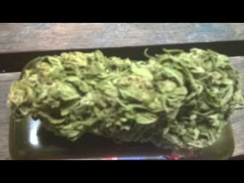 Gangsta Beat From Pete Dogg