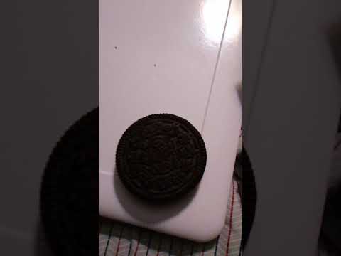 Product review: Oreo 2 pack!!!