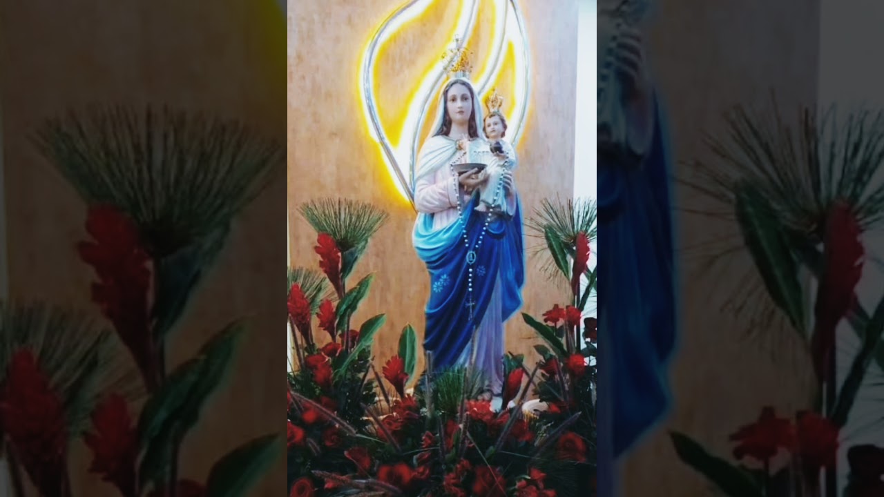 ILUMINA A NOSSA VIDA, NOSSA SENHORA DA LUZ #tercomeditadopalavradevida #shorts #luz #luzes #oração