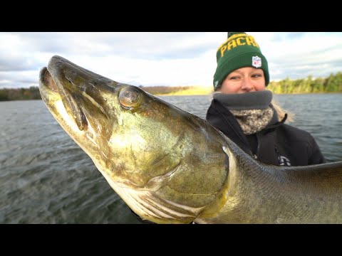 Catching BIG TOOTHY Fish Without Hooks!!!