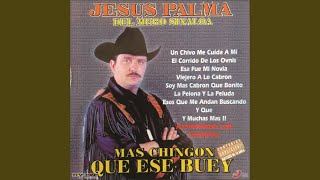 Viejero A Lo Cabrón