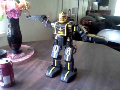 humanoid robot