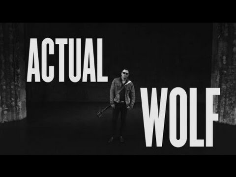 Actual Wolf - 