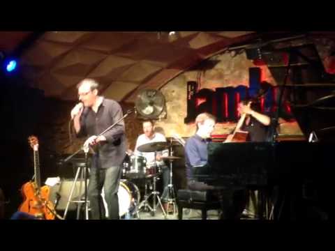 Oleo - Joe Pisto & Ignasi Terraza Trio