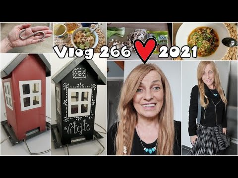 Vlog 266/21 - kontrola, ramen a ptačí budka