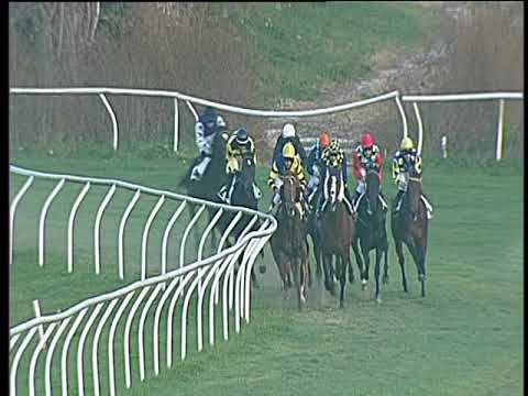 Galoppo 22/11/2017 - 2ª corsa