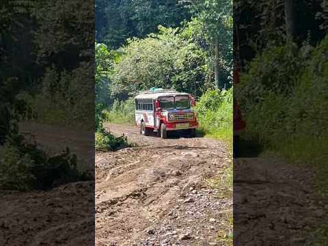 asi están las vías en santa elena del opon Santander #campo #buses