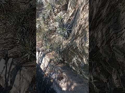 Al Hueco de Colerio en Chancaní Dpto. Pocho, Cba