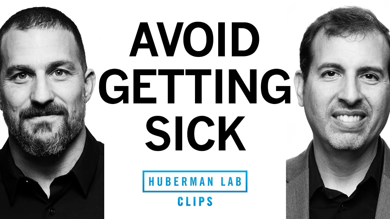 8 Pillars for Building Your Immune System | Dr. Roger Seheult & Dr. Andrew Huberman