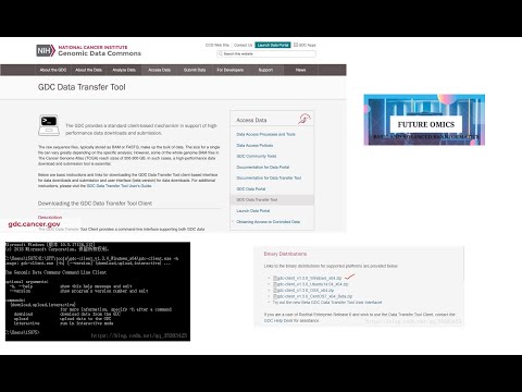 GDC data transfer command line tool
