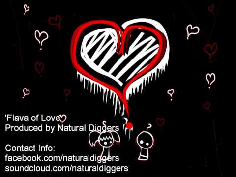 Natural Diggers - Flava of Love