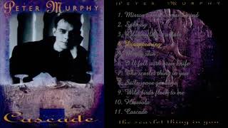Peter Murphy - Disappearing