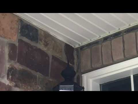 Yellowjackets Stake Out in Soffit in Holmdel, NJ