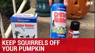 Ace Hardware