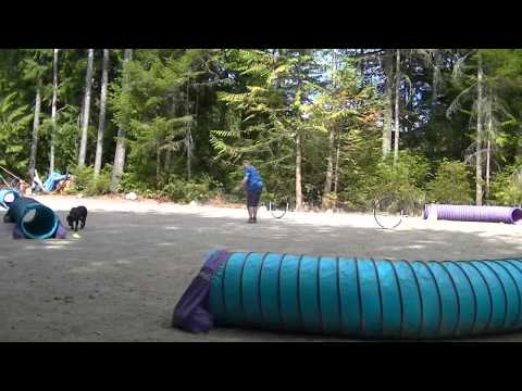 130826 Pick WVRO Lily 2)