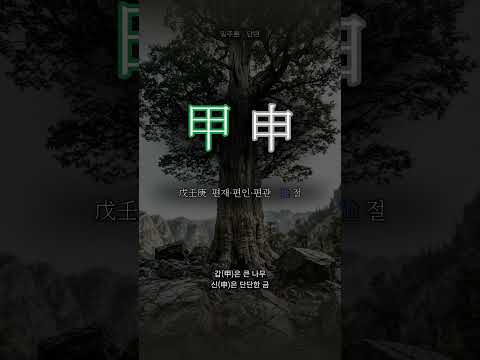 도끼 곁에 선 나무 | 갑신(甲申) 일주