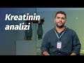 Kreatinin Analizi Kreatinin Normadan Artıq Olmasının Səbəbləri