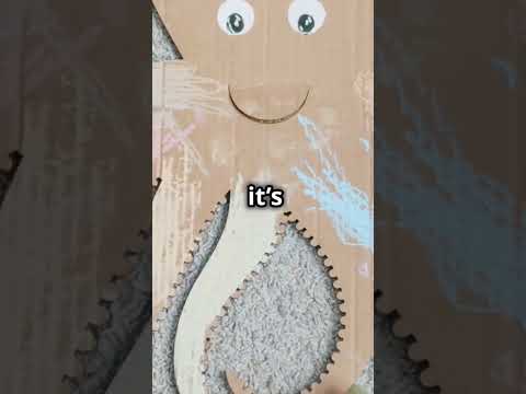 Mind-Blowing Octopus Facts You Didn't Know