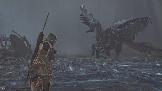 【リオレウス[？？？]の討伐】おぎちょんの「モンスターハンターワイルズ」 #12