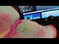 Llama Watches The Macrovision Logo