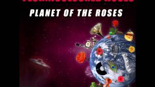 Technicoloured Roses - Oboe
