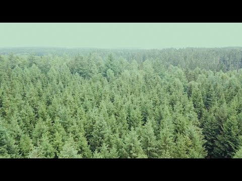 Oh min God (Official Video)