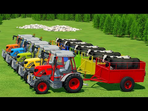 TRANSPORTING COWS WITH RIGI TRAC MINI TRACTORS AND DAF TRUCK - Farming Simulator 22