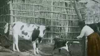 Relatos de mujer:  Mujer Campesina 