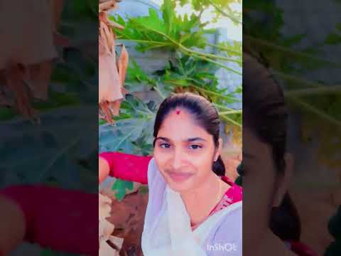 enjoying the nature🙂 #beautiful #trending #viral #shorts #chaleya song #music #reels#explore