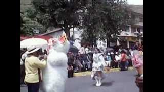 preview picture of video 'ALAUSI 2012 desfile de la alegría'