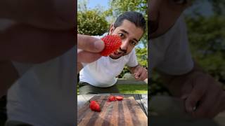How to Grow Berries with a Slice | creative explained