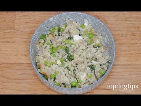 Homemade Dog Food with Cottage Cheese (High in Vitamins and Minerals)