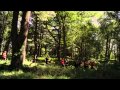 Emmanuel Kelly and Crooked Arrows - "Dream Big ...