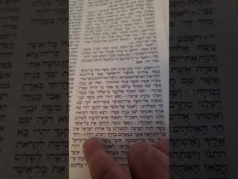 Coach Avi parasha Yitro part 2 read/sing