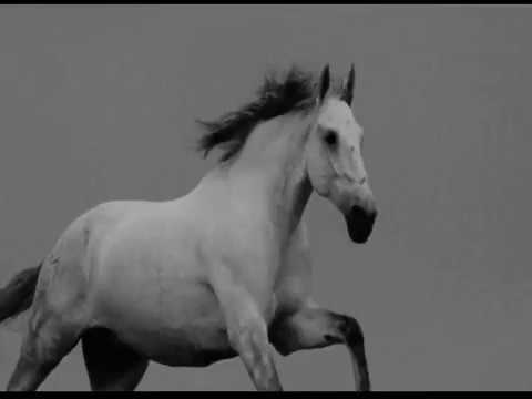 Médine ft. Booba - KYLL - CLIP